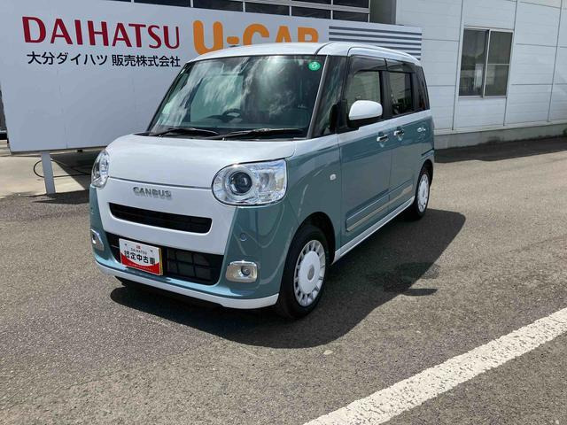 ムーヴキャンバス  ストライプス G