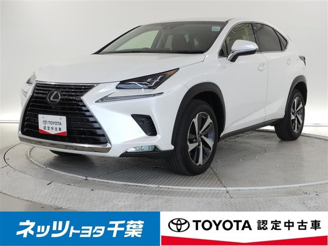 NX 300 Iパッケージ 