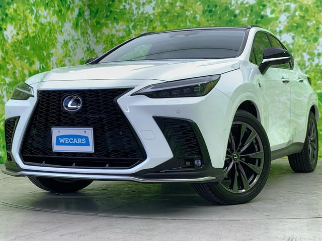NX350h Fスポーツ