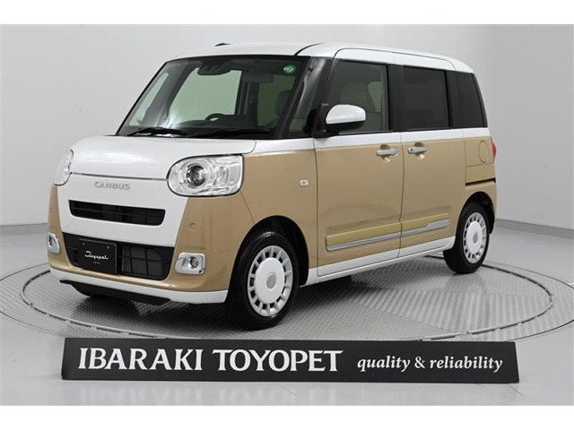 ムーヴキャンバス  ストライプス G