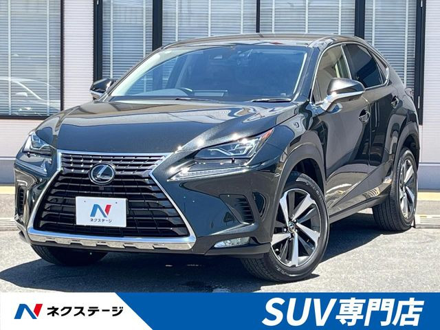 NX 300h Iパッケージ 