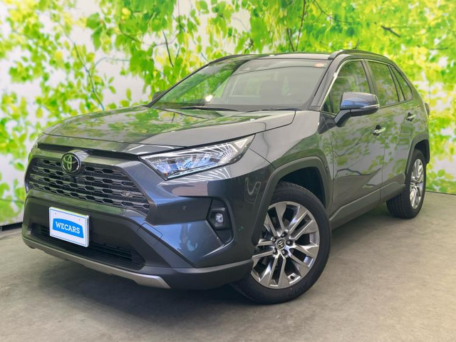 RAV4 2.0 G Zパッケージ 4WD 