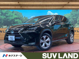 バックカメラ AC100V電源 プリクラッシュセーフティ