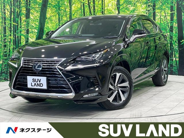 NX 300h Iパッケージ 