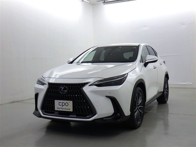NX 250 バージョンL NX 250 バージョンL