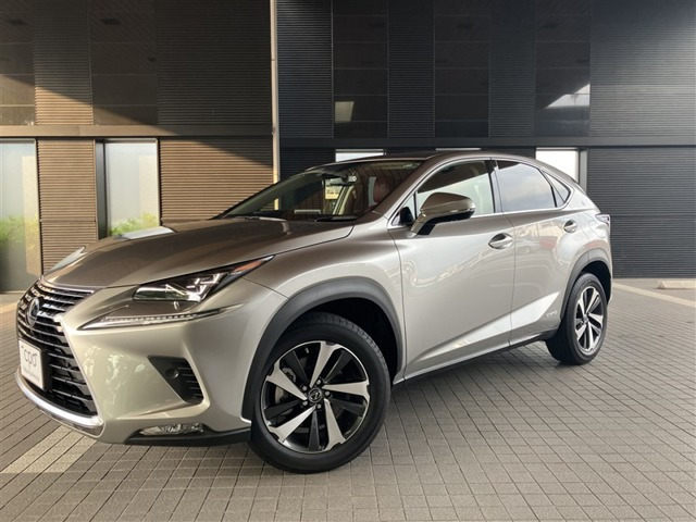 NX 300h バージョンL 