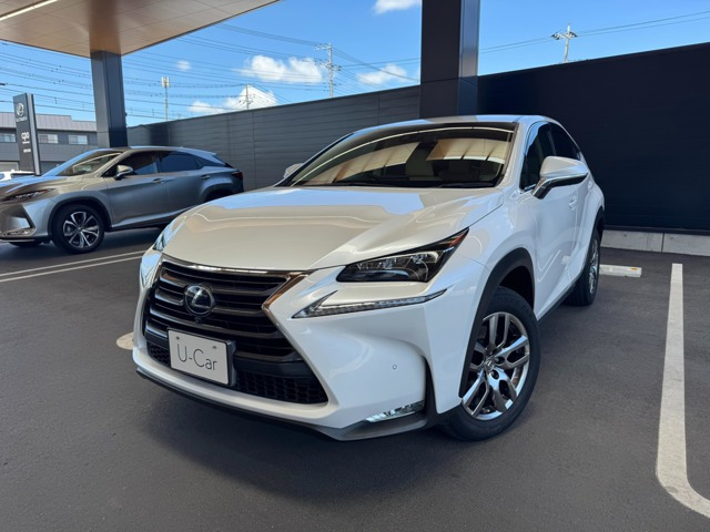 NX 300h バージョンL 