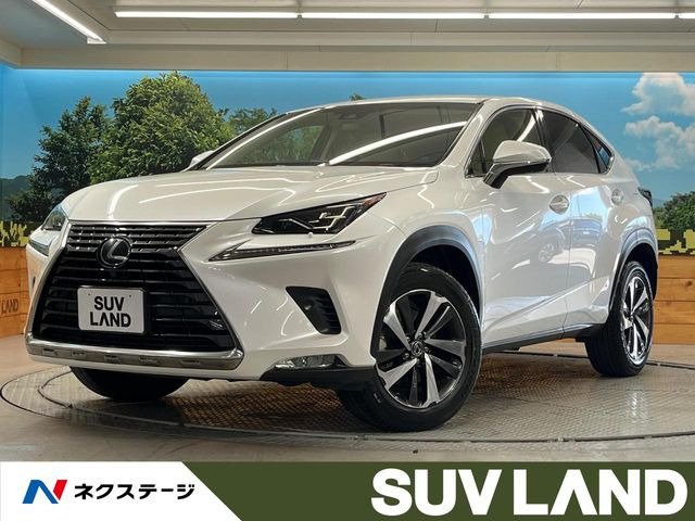 NX 200t Iパッケージ 