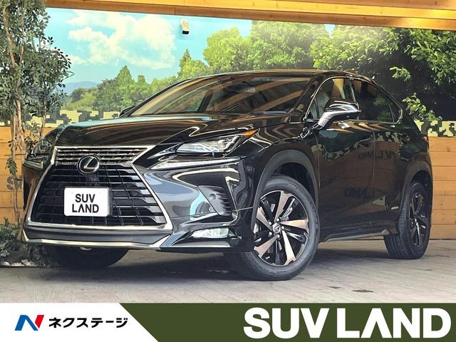 NX 300h バージョンL 