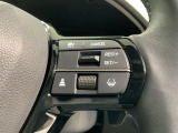 クルーズコントロールを装備しています。高速道路などで一定の速度で走ってくれるので運転が楽ですよ!速度を設定できますので、スピードの出しすぎにも注意できます。