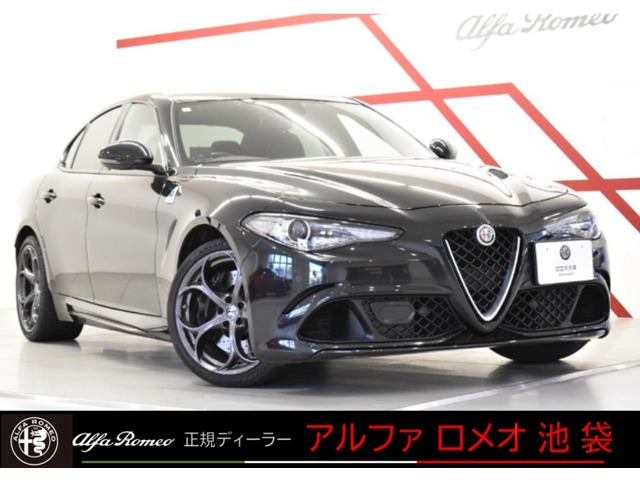 ジュリアクアドリフォリオ