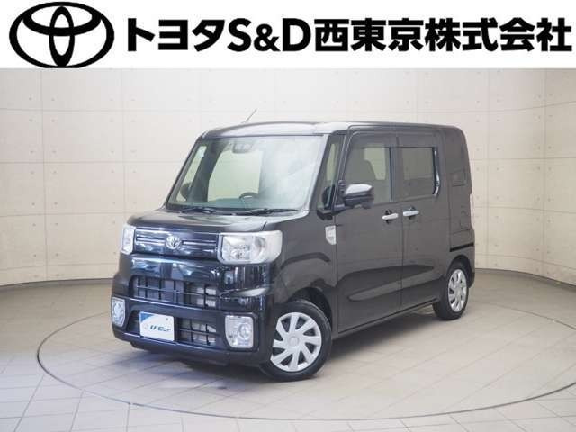 ピクシスメガD SAIII