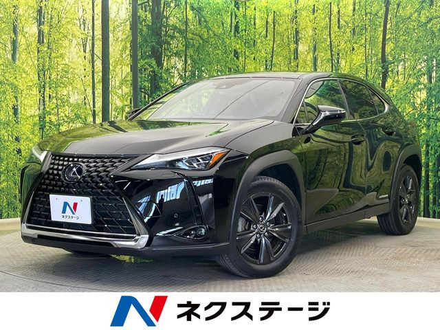 UX250h バージョンC