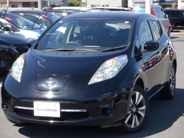 リーフ30kWh X サンクス エディション