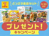 プリウス 1.8 A プレミアム ツーリングセレクション 