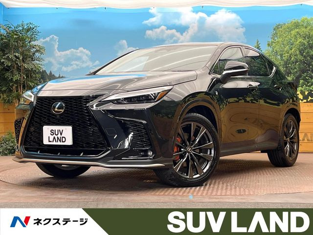 NX 350h Fスポーツ 