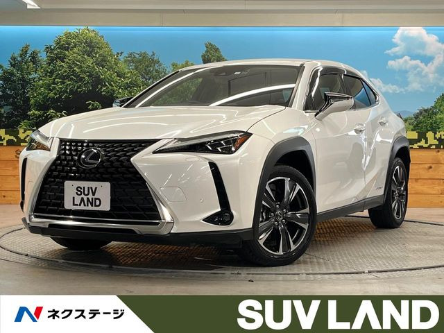 UX250h バージョンL