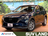 バックカメラ ブラインドスポットモニター レーダークルーズ ETC