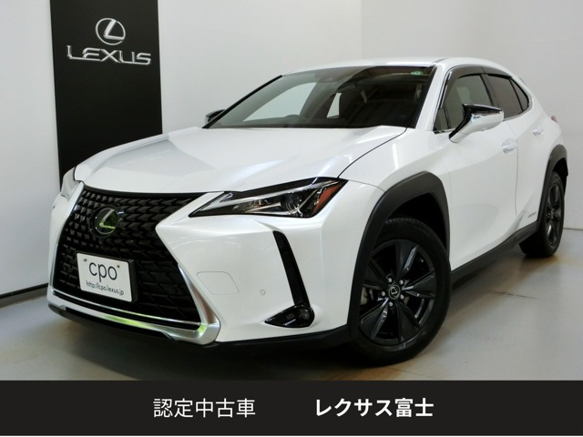 UX250hブラウン エディション