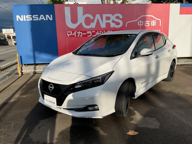 リーフe+ G