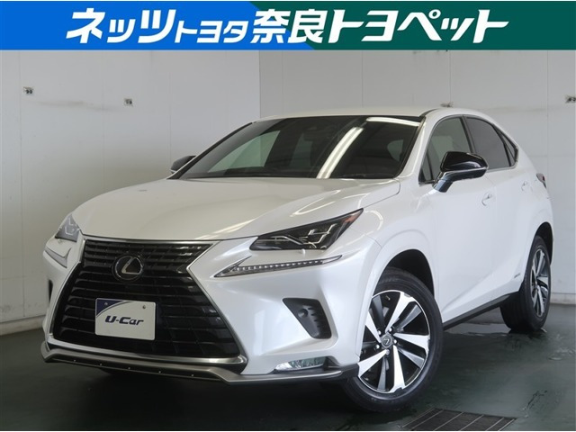 NX 300h スパイス&シック