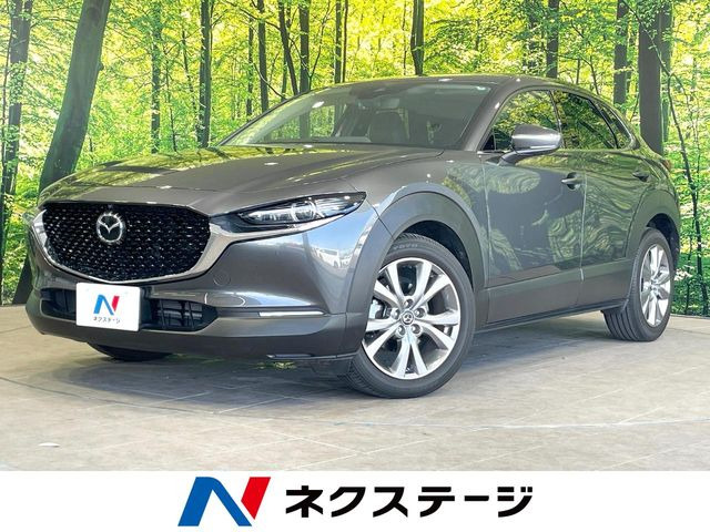CX-301.8 XD Lパッケージ
