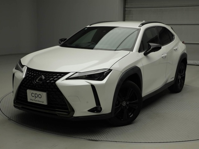UX250h