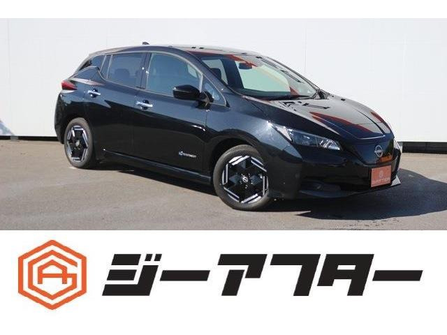 リーフX改良後モデル9型ナビBカメラシートヒータ