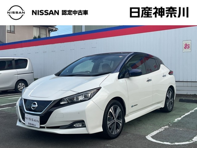 リーフX10万台記念車