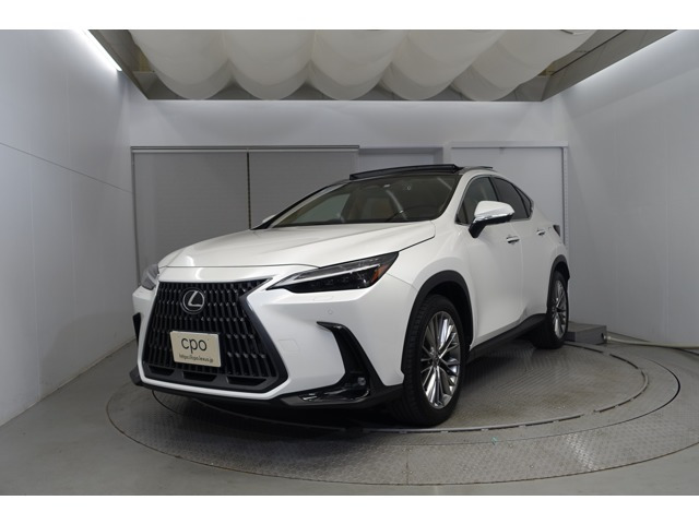 NX 250 バージョンL NX 250 バージョンL