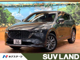 BOSEサウンド 純正10型ナビ 全周囲カメラ ブラインドスポットモニタ