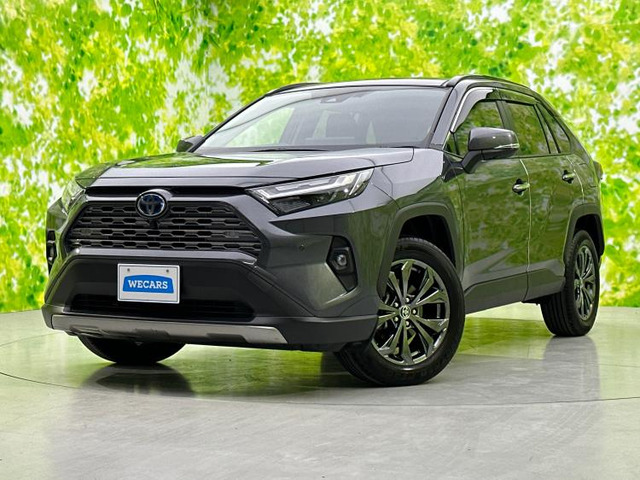 RAV42.5 ハイブリッド G E-Four 4WD
