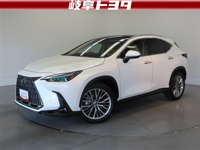 NX 250 バージョンL 4WD 