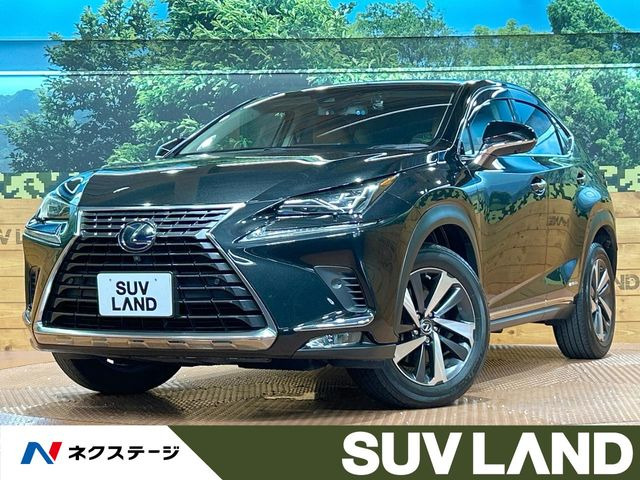 NX 300h Iパッケージ 