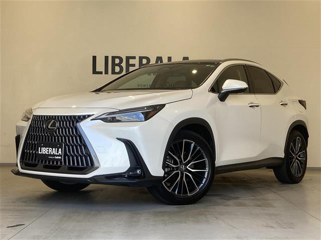 NX 250 バージョンL 本革シート サンルーフ