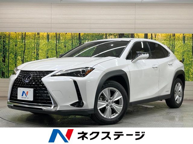 UX250h バージョンC