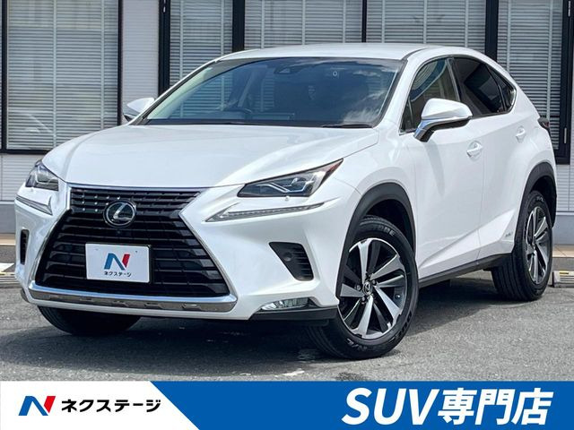 NX 300h Iパッケージ 