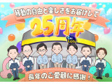 N-VAN +スタイル ファン 