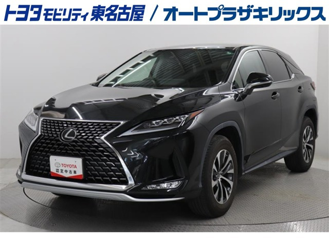RX300