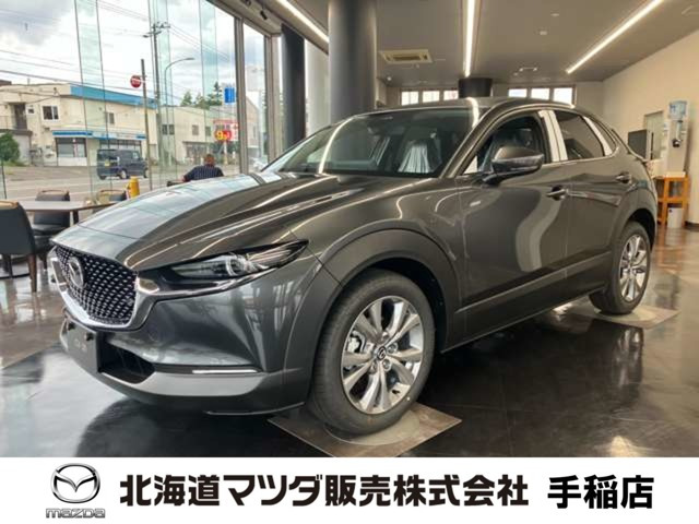 CX-302.0 20S ツーリング 4WD