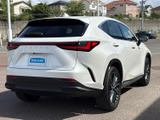 NX 350h バージョンL 