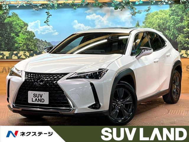 UX250h バージョンC