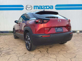 MX-30ロータリーEV ナチュラル モノトーン 