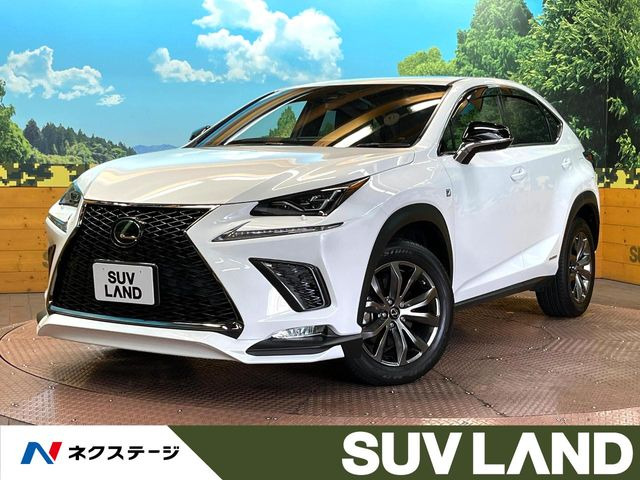 NX 300h Fスポーツ 
