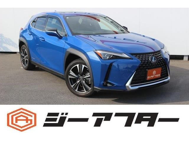 UX250h バージョンL 4WDサンルーフ3眼LEDナビ360カメラ電動ゲート