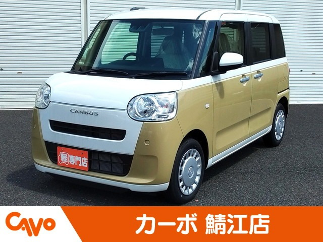 ムーヴキャンバス  ストライプス X