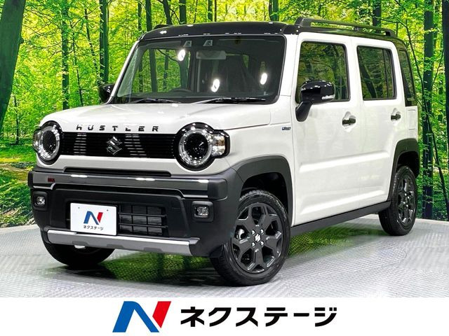 ハスラー タフワイルド 