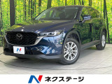 バックカメラ 衝突被害軽減 レーダークルーズ 禁煙車 ドラレコ LED