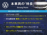 ザ・ビートル スペシャル バグ 