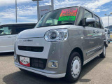 ムーヴキャンバス  ストライプス G